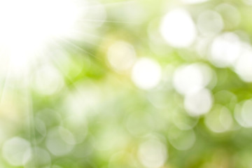 Fototapeta premium spring background