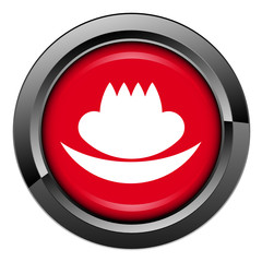 Picto, internet, bouton, marque, identité visuelle, charte