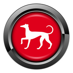 Picto, internet, bouton, chien, animal, canin, chenil, lévrier