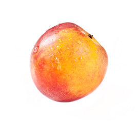 nectarine