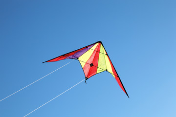 Flying a kite