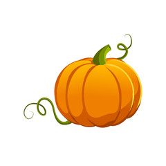 Pumpkin photos, royalty-free images, graphics, vectors & videos | Adobe ...