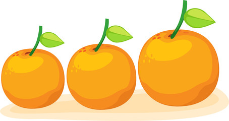 oranges
