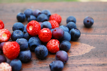 Forest fruits on wooden background