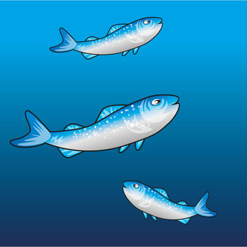 pesce che nuota