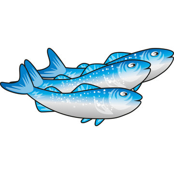 pesce lesso
