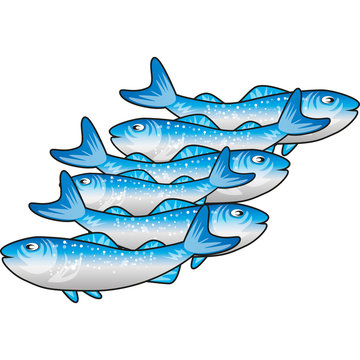 pesce lesso
