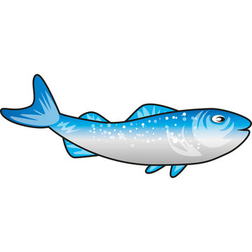 pesce lesso
