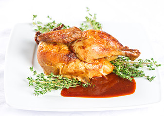 grilled chicken on a white plate with herbs and sauce