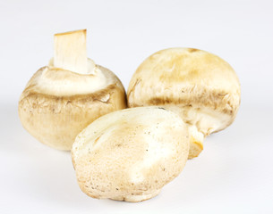 White field mushrooms isolated