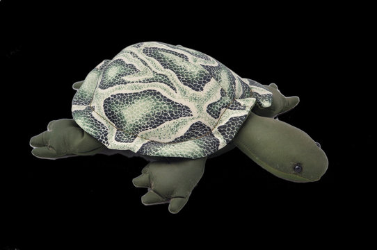 Turtle pin holder