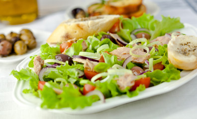 Vegetable salad with tuna and olives