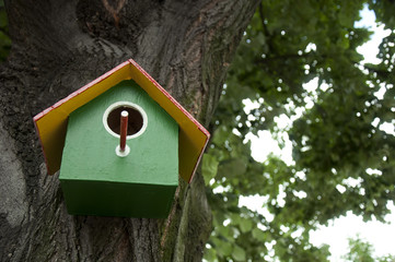 Home-made bright colored bird house