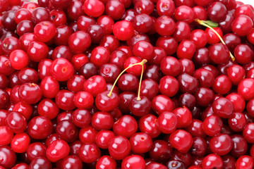 Background of Cherry