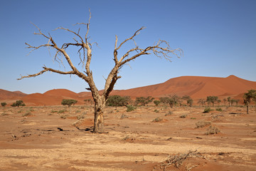 Fototapeta na wymiar Namib-Naukluft-Nationalpark