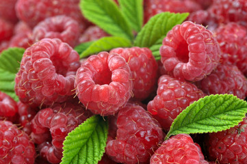 ripe raspberry