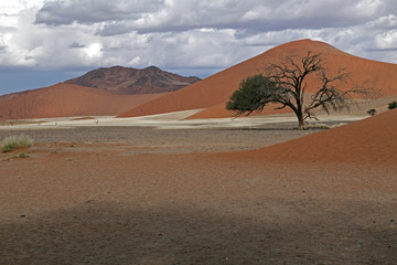 Fototapeta premium Namib-Naukluft-Nationalpark