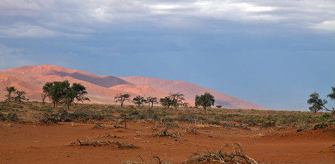 Namib-Naukluft-Nationalpark