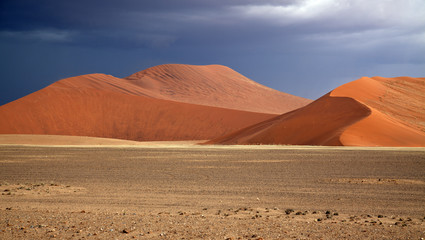 Fototapety  Park Narodowy Namib-Naukluft
