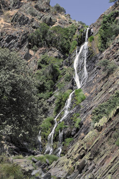 Chorretero de Ovejuela, Hurdes, Espa&ntilde;a