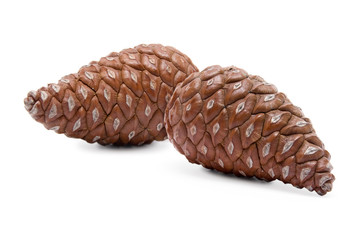 Pine cones