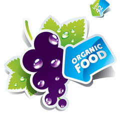 Icon currant with arrow by organic food. Vector illustration - 33631533