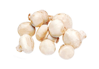 Fresh raw mushroom (champignon) on white background