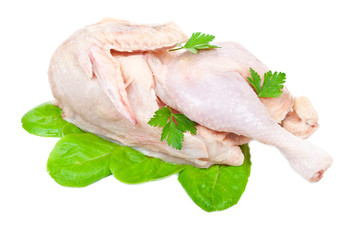 Raw chicken