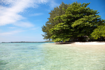 Tropical beach of Karimunjawa