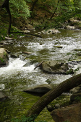 wikdromantische Bode