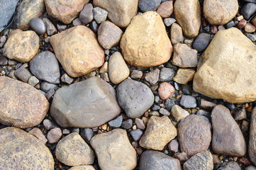 Picture stones on a sea bottom in low-tide water