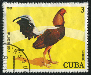 postage stamp
