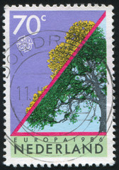 postage stamp