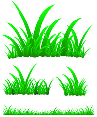 set of green grass isolated on white background