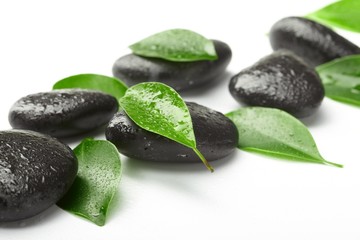 Obraz na płótnie Canvas black stones and green leaves