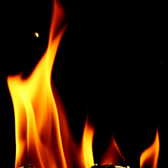 Fototapeta premium fire