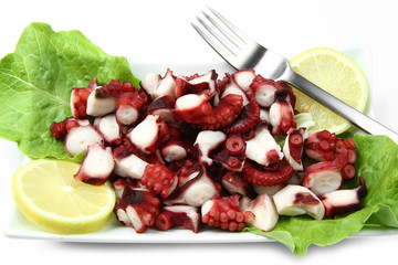 insalata di polipo