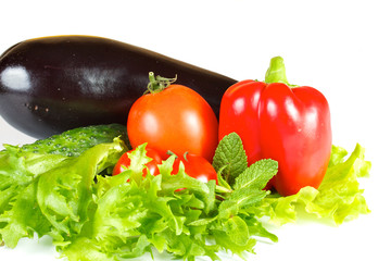 fresh and juicy vegetables isolated