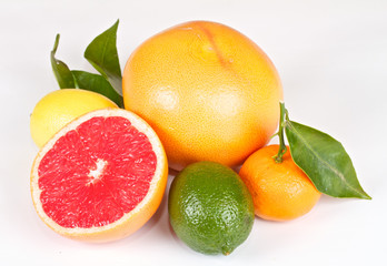 Fresh juicy grapefruits
