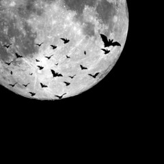 Halloween background