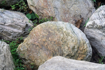 japanese-style garden