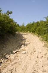 Fototapeta premium Offroad track