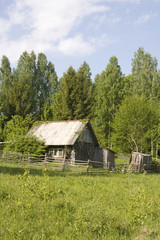 Wooden house in forest