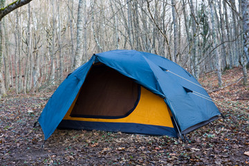 tourists tent in leafless forest