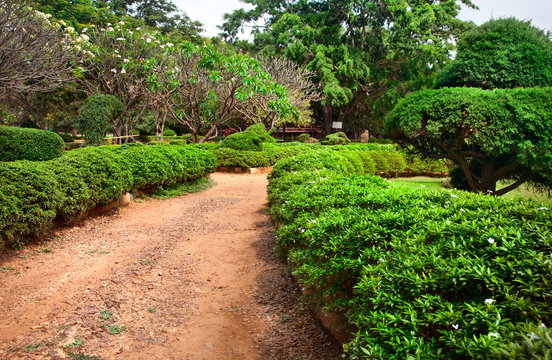 Lalbagh Botanical Garden In Bangalore