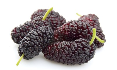 sweet mulberry