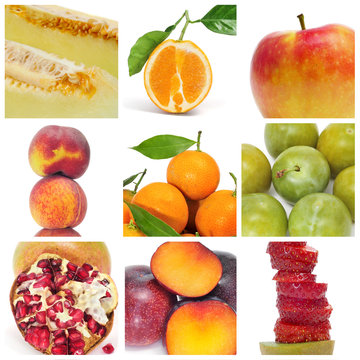 fruits collage