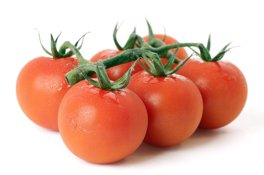 Tomatoes On The Vine, Isolated On White Background