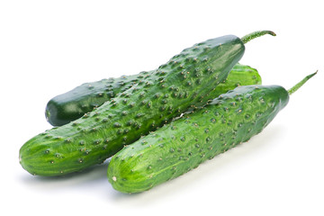 Long cucumber