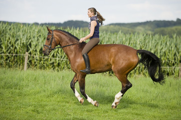 Reiten